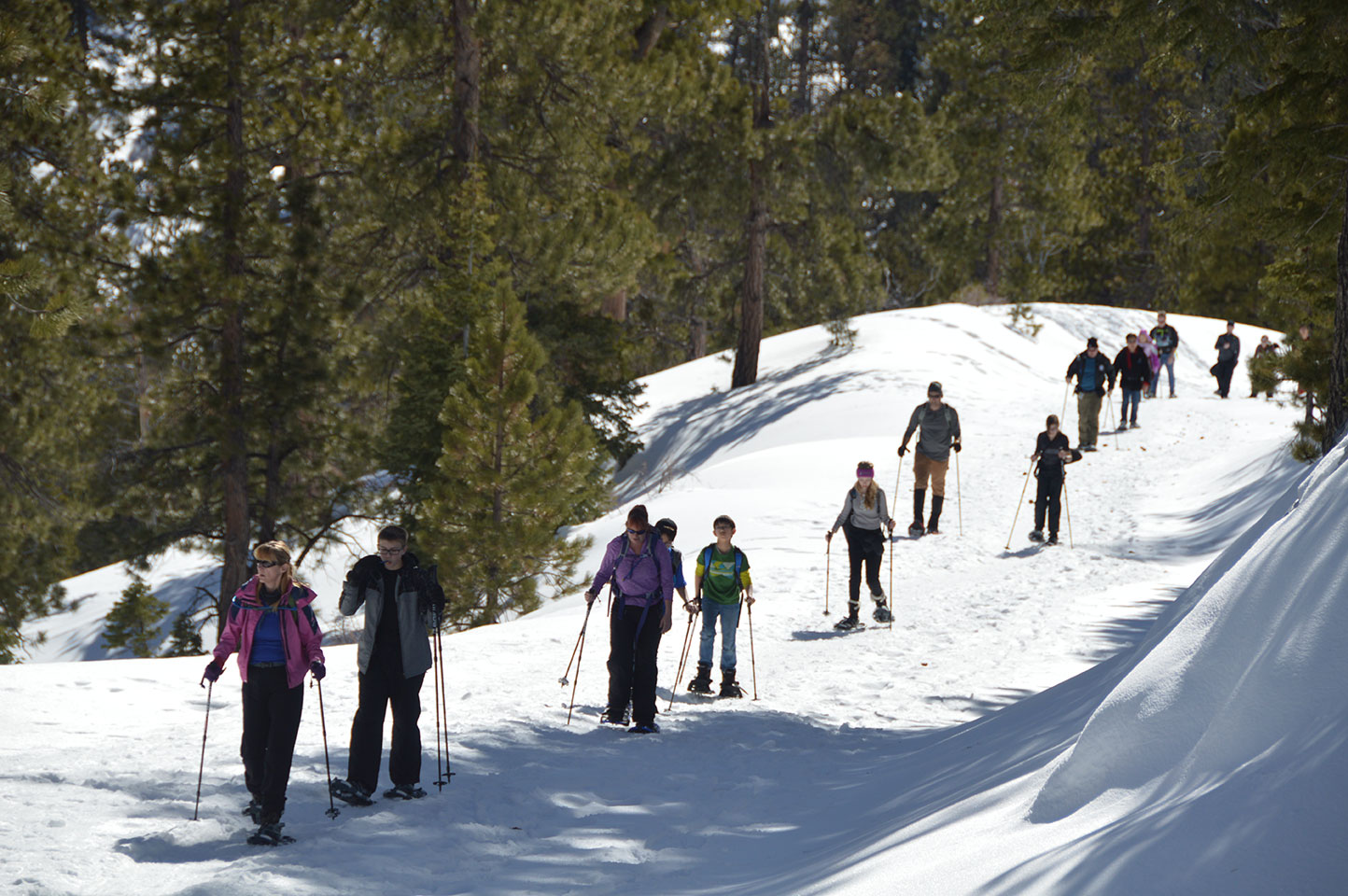 header-snowshoe-hike